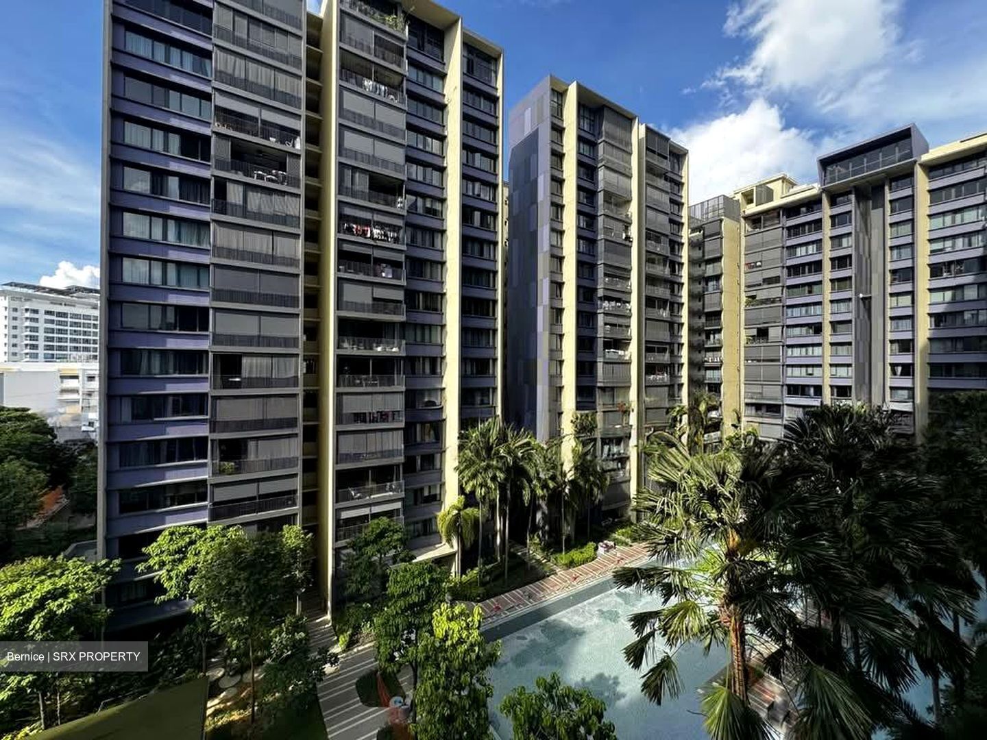 The Amore (D19), Condominium #554145541